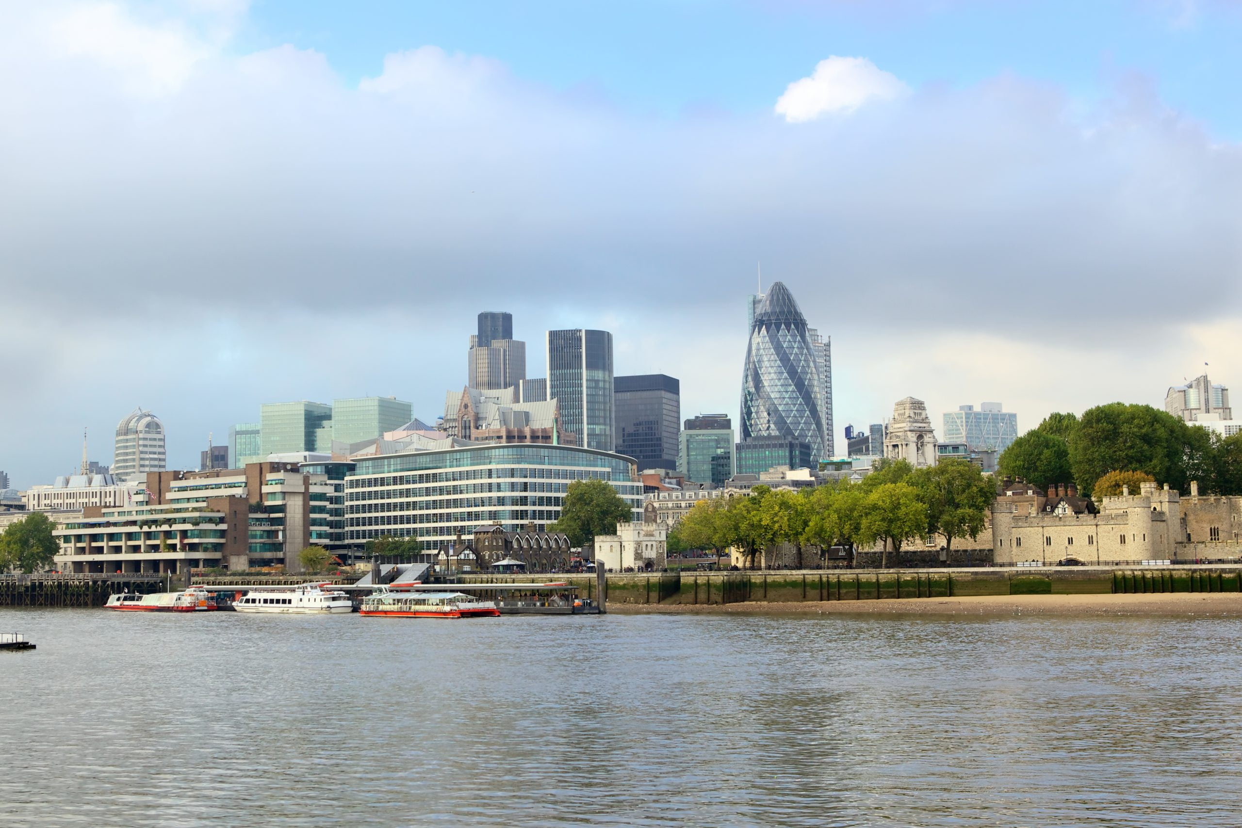 Pest Control in London