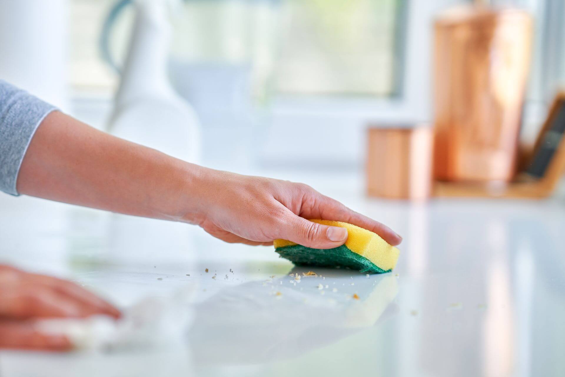 Keep the kitchen and food preparation areas spotless