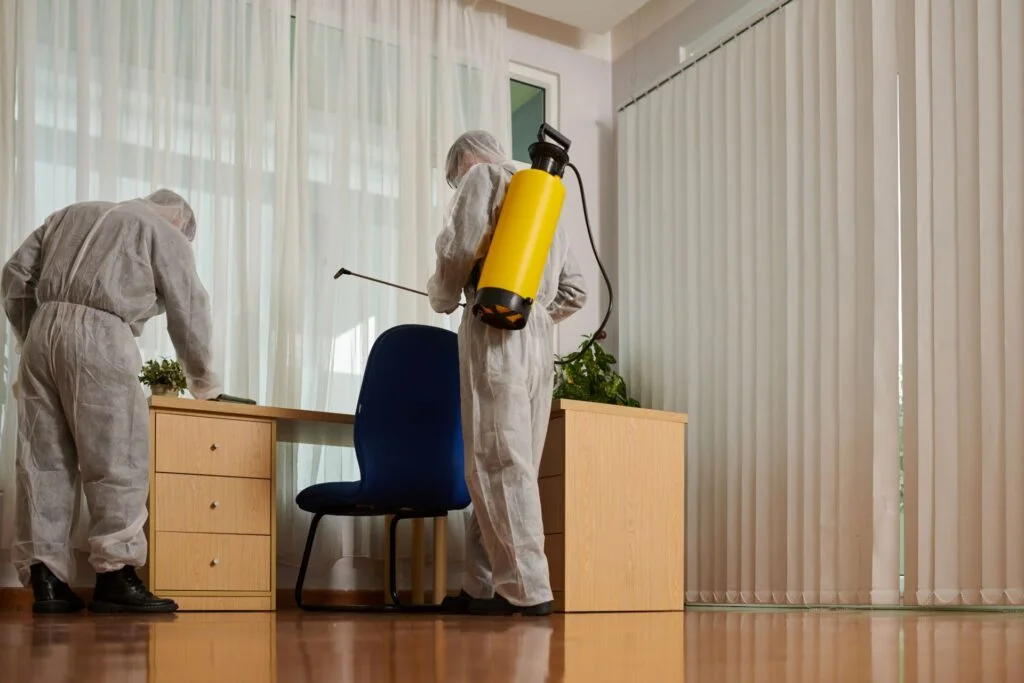 Why You Should Call In The Experts To Deal With Pest Issues In Your Business