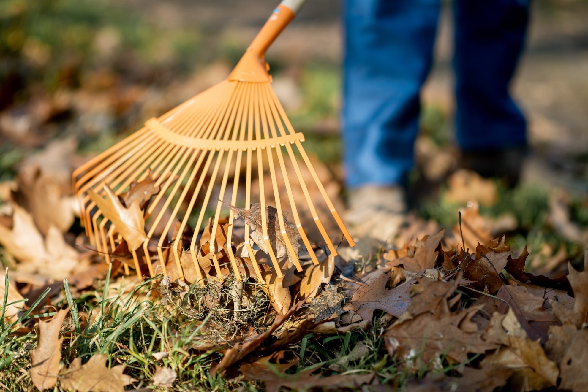 Spring Cleaning: Your Secret Weapon Against Household Pests - Shield ...